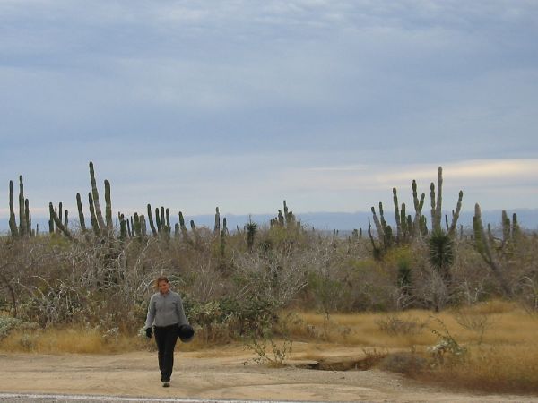 julie_and_cacti.JPG